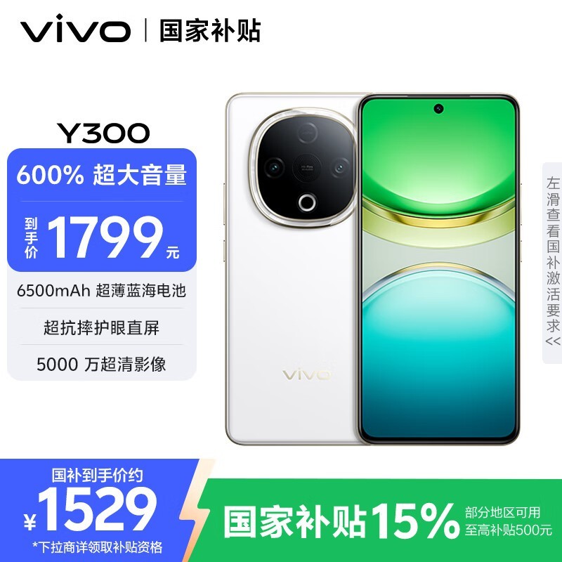 vivo Y300(12GB/256GB)
