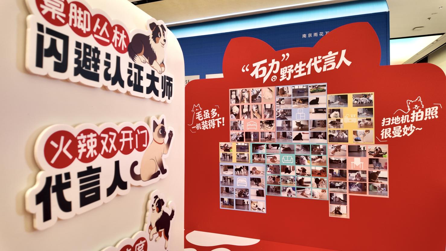 石头P20 Max线下快闪持续进行中：以科技之力，做养宠家庭的专属清洁搭子