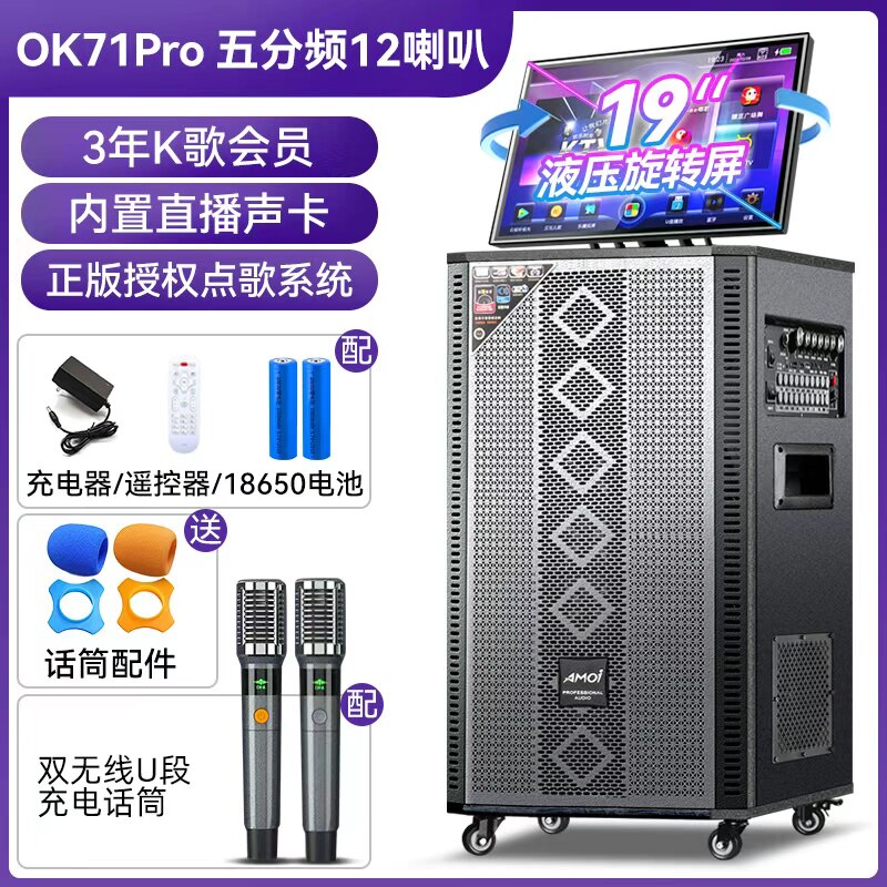 夏新 双12寸广场舞音响带显示屏蓝牙户外k歌音箱家用ktv功放一体机