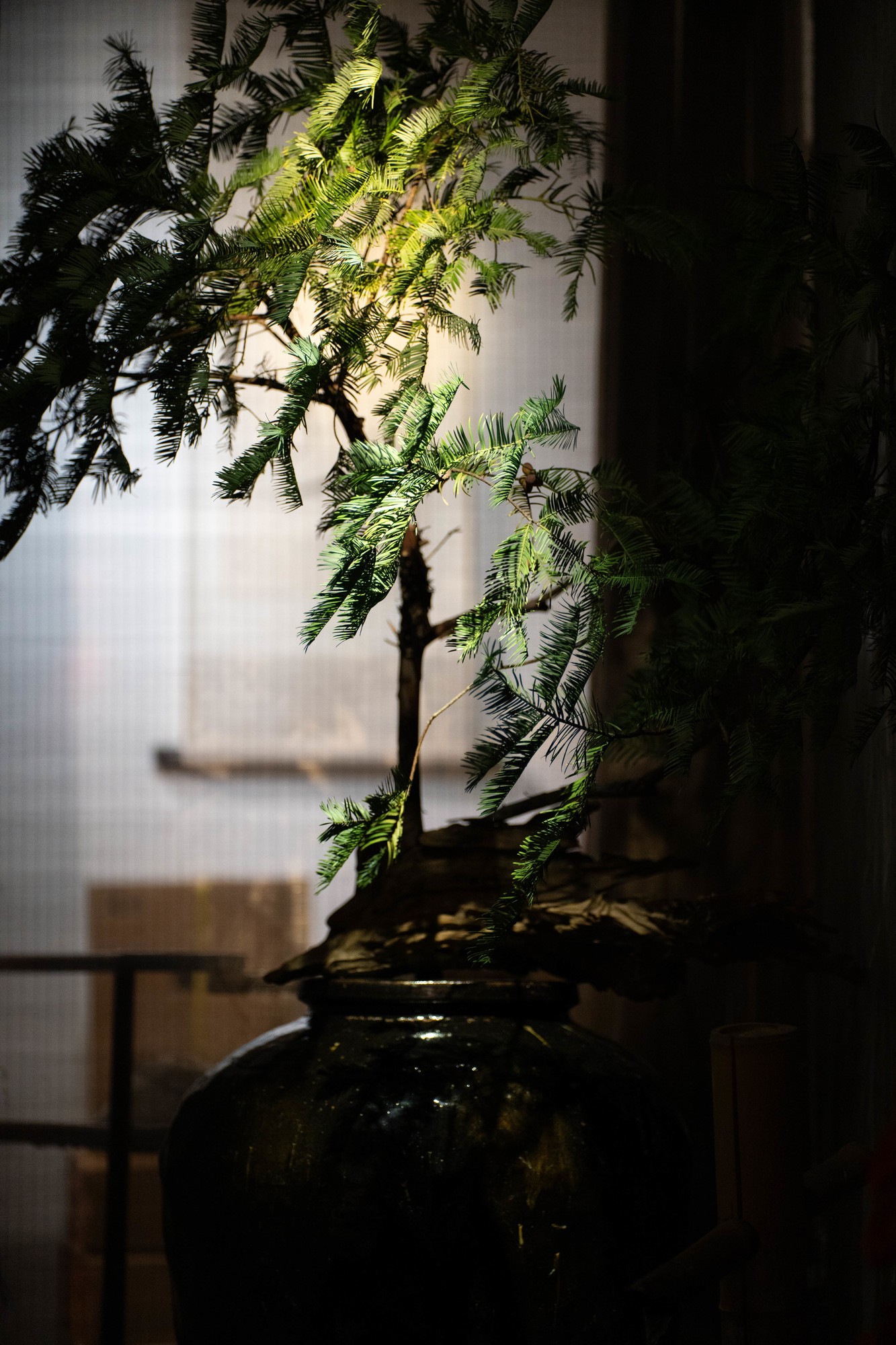 �����׿���Ȧ�����Զ��Խ���ͷ ����AF FF 200mm F2.0 C-Dreamer��ͷ����