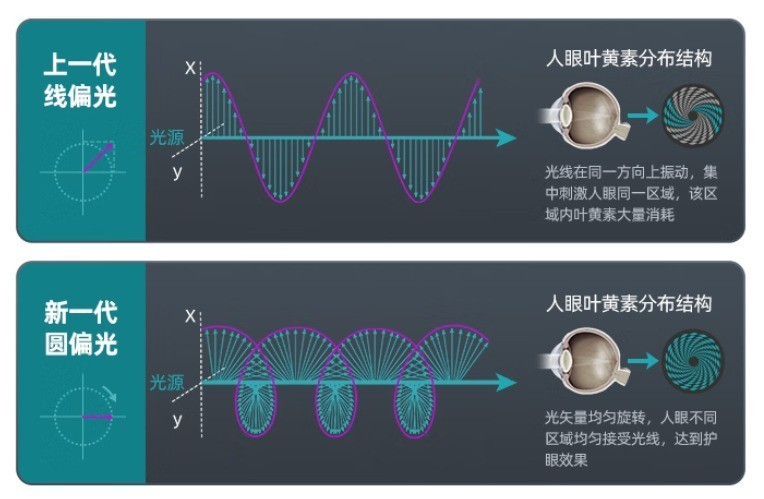 ˫11�����羺��ѡ��EVNIA����˫�˵羺��ʾ�����ػ������Ϸ�ӽ磡