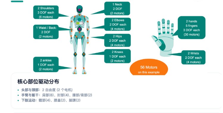 人形机器人产业全速狂奔，微美全息AI具身智能产业战略卡位成关键“胜负手”