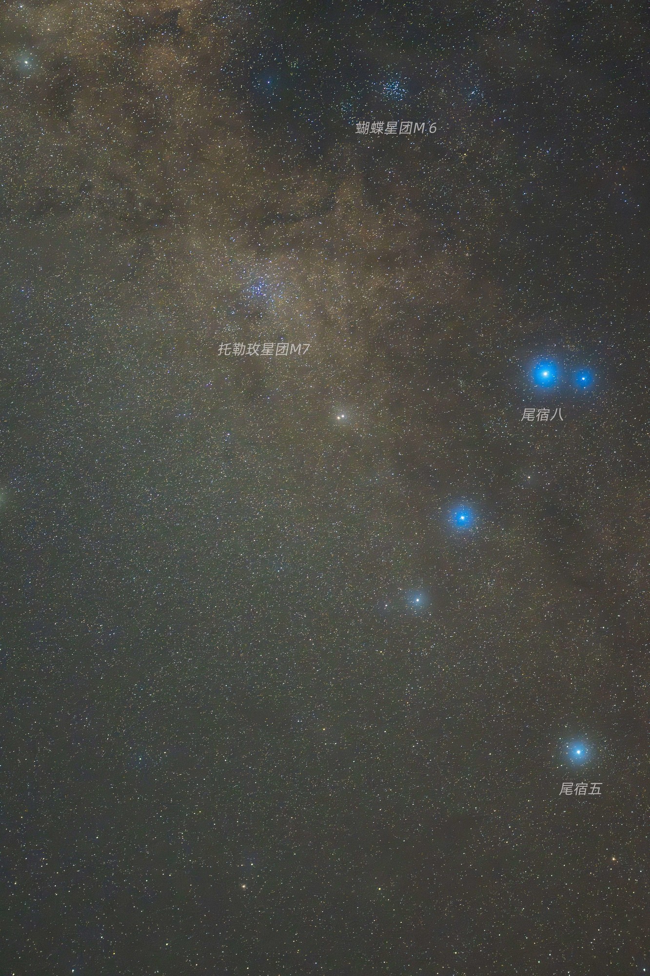 云南观星之旅|用尼康Z8记录璀璨夜空