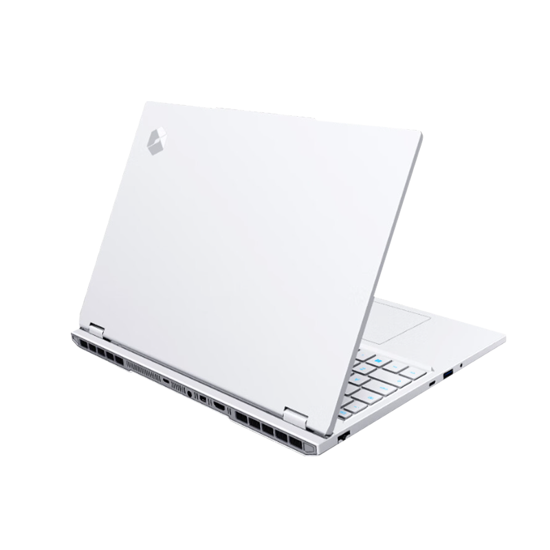 机械革命 蛟龙16 Pro 2025 16英寸 电竞游戏本（锐龙9 9955HX、32GB、1TB、RTX 5070Ti、2.5K、300Hz）