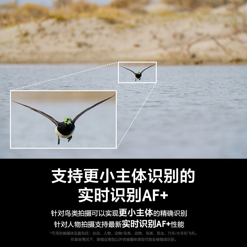 ���ᷢ�������콢Alpha7R VI��FE100-400mm F4.5 GM OSS��ͷ