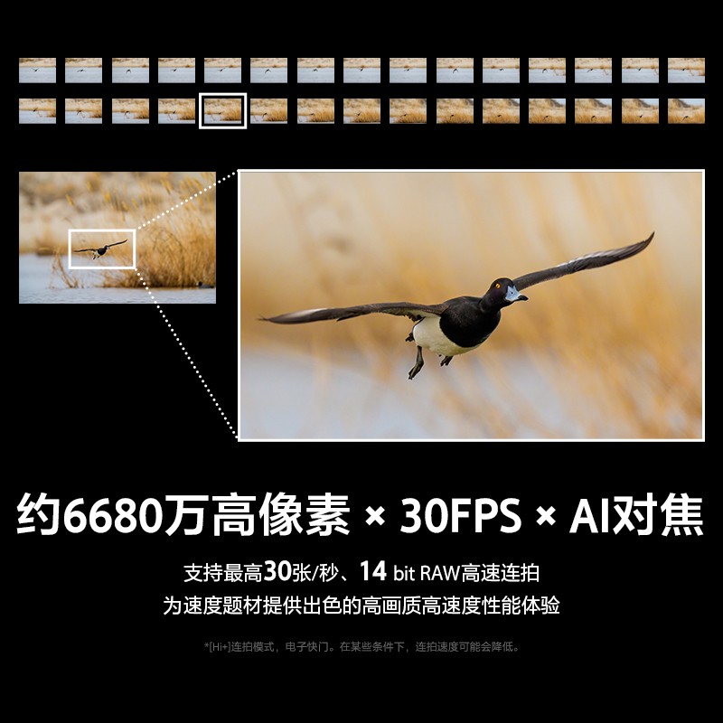 ���ᷢ�������콢Alpha7R VI��FE100-400mm F4.5 GM OSS��ͷ