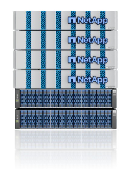 ؼʢĻ ԡǴ桤Ǳ䡱ݻʩ