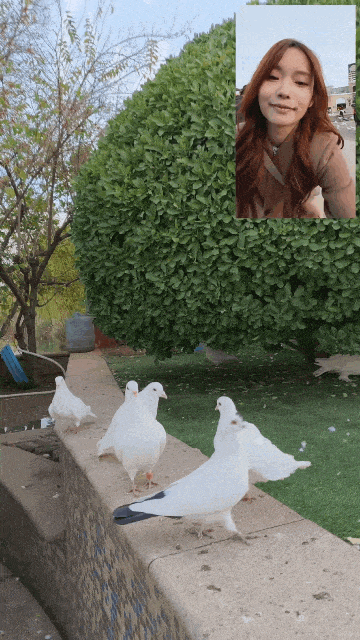 OPPO Reno15 Proȫ�����⣺��׿ʵ����������