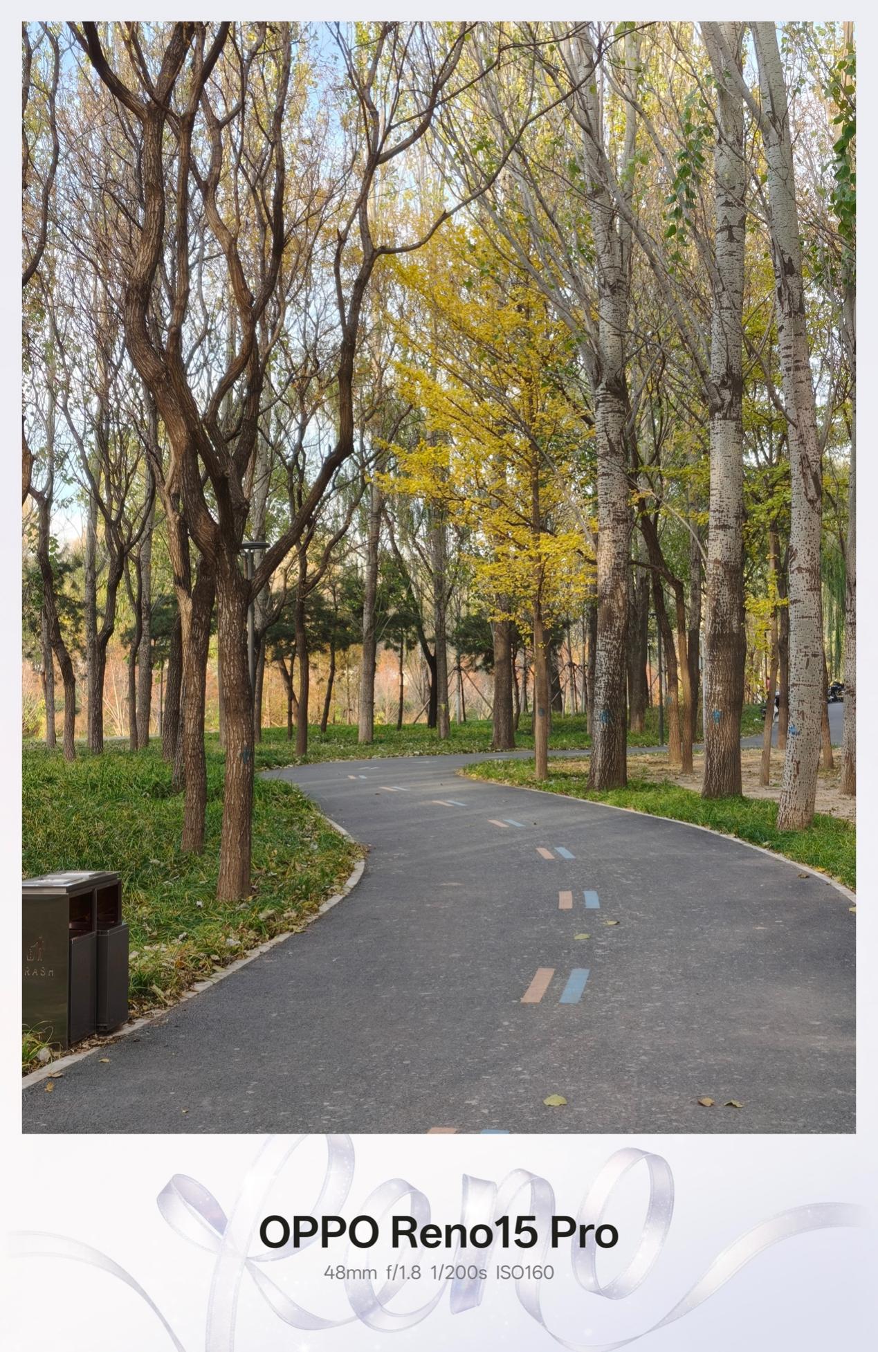 OPPO Reno15 Proȫ�����⣺��׿ʵ����������