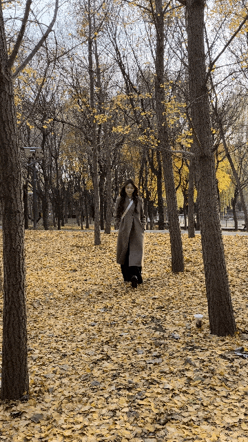 OPPO Reno15 Proȫ�����⣺��׿ʵ����������