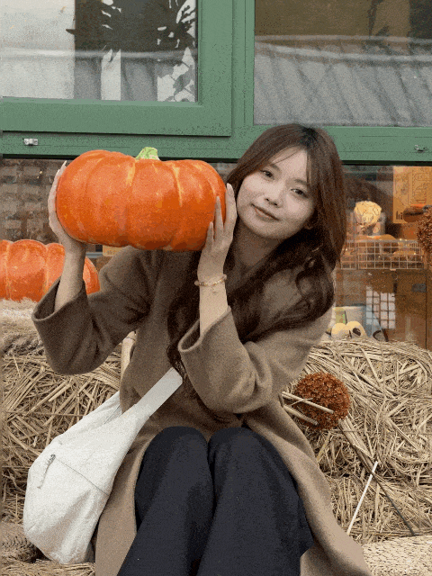 OPPO Reno15 Proȫ�����⣺��׿ʵ����������