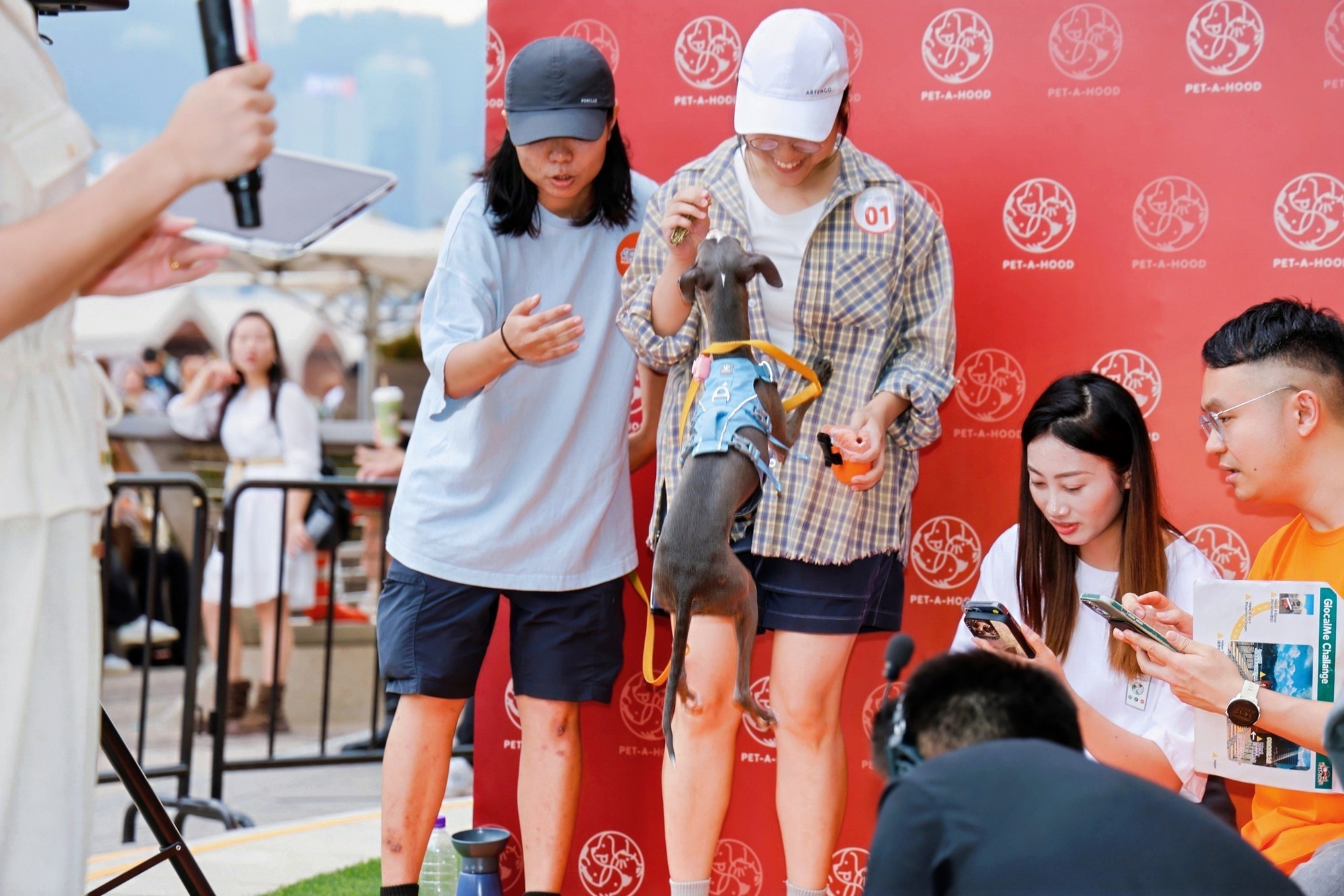 PetPhone狗狗打电话大赛引爆香港,科技助力消除“跨物种数字鸿沟”