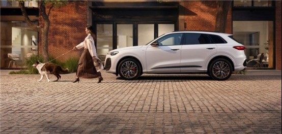 ��ͥ+�����ó���ôѡȼ��SUV��ȫ�°µ�Q5L���Ƕೡ������