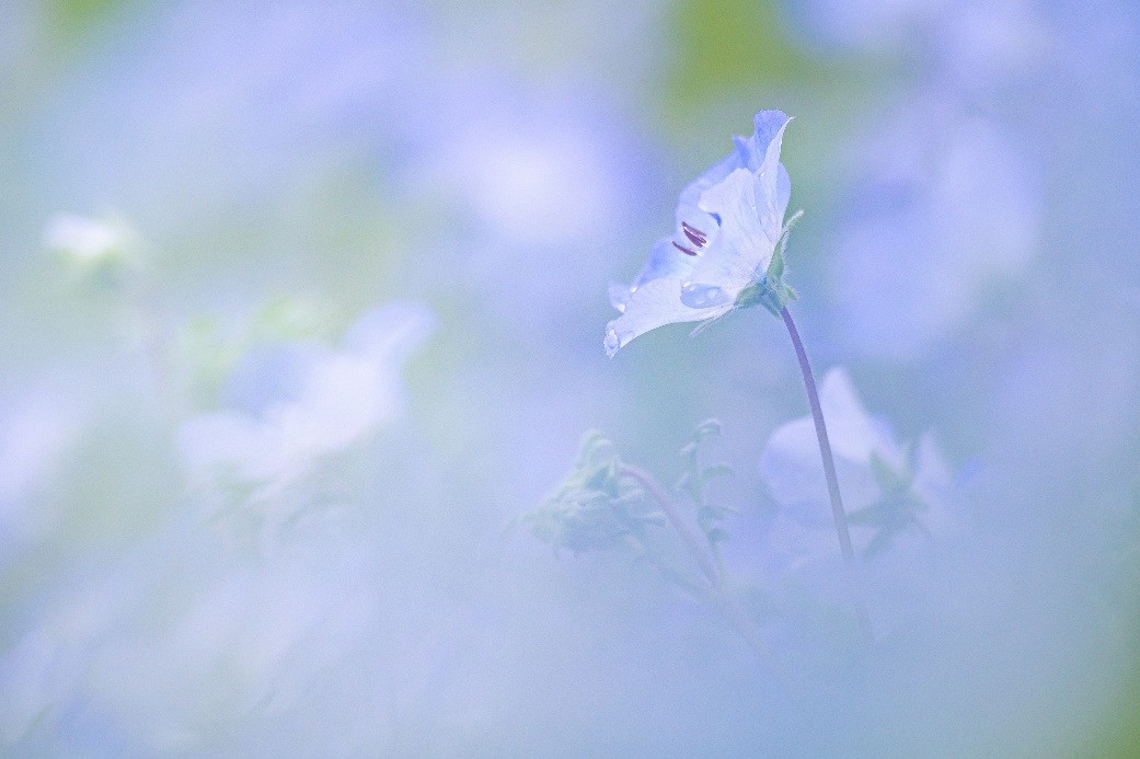 ����뾵�����ⶨ�񡪡��῵ȫ����΢������ʮһѰ��