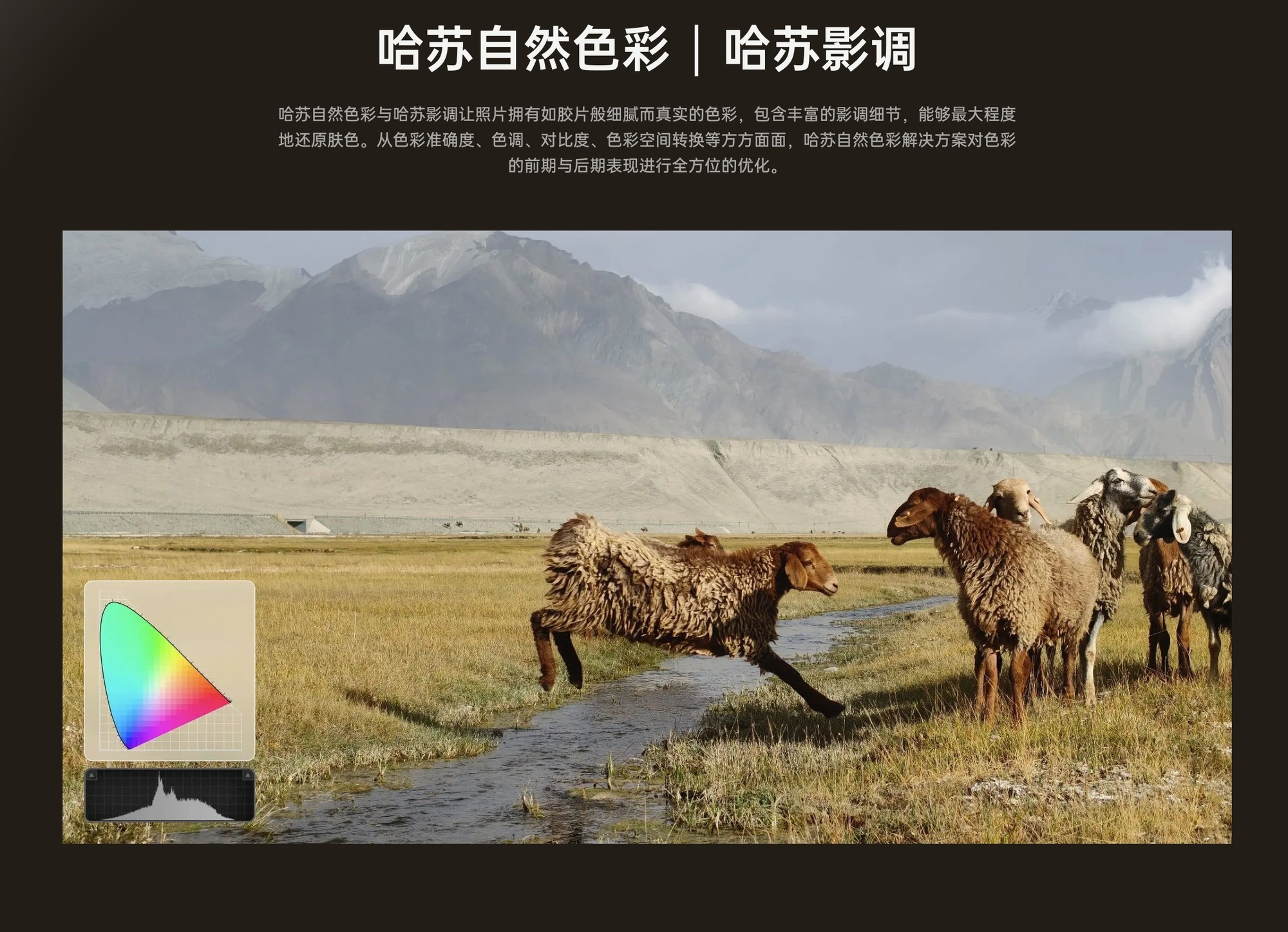 ��/O/v/ҫ���콢��׼�浽����ôѡ��