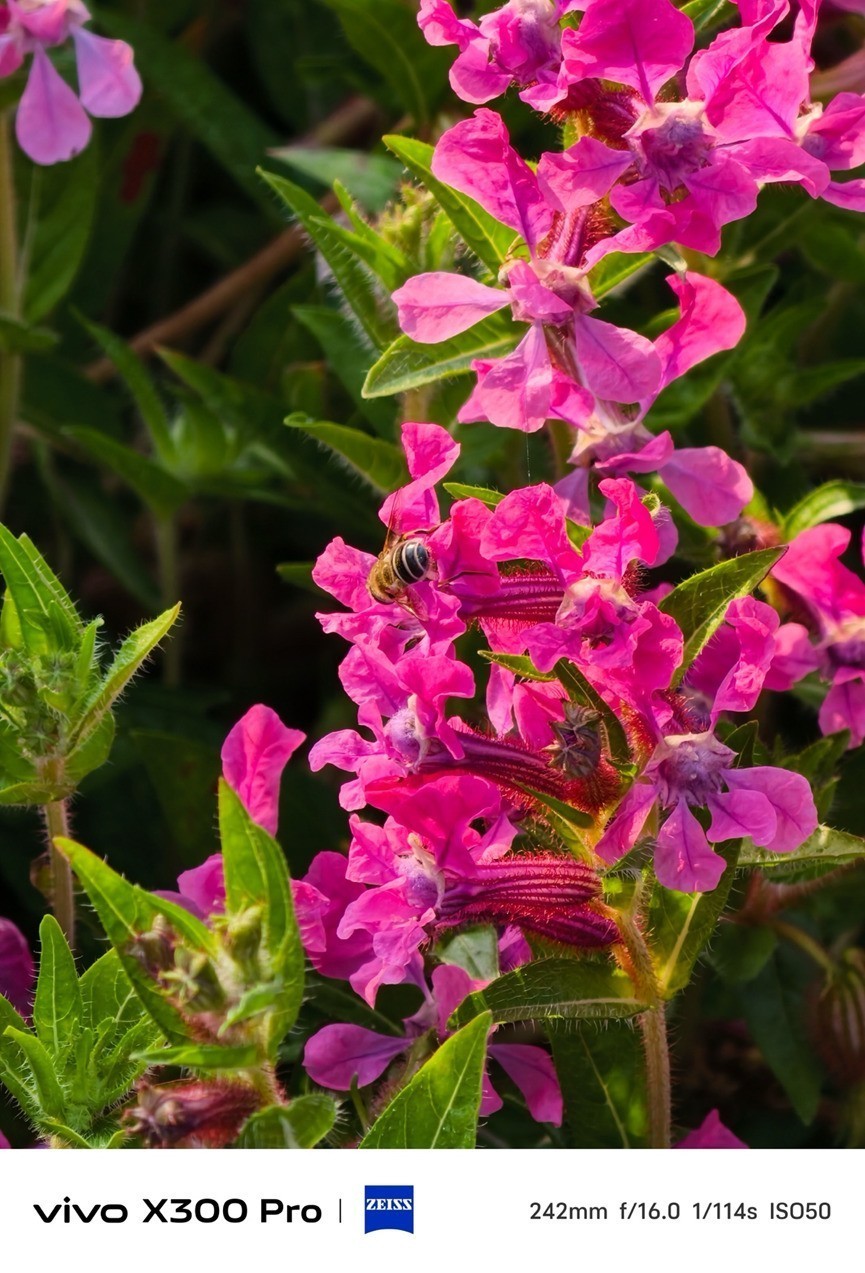 2ÒÚÏñËØ´óµ×¾µÍ·È«ÃæÆÕ¼° ˲ÅÊÇÄ»ºó¹¦³¼£¿