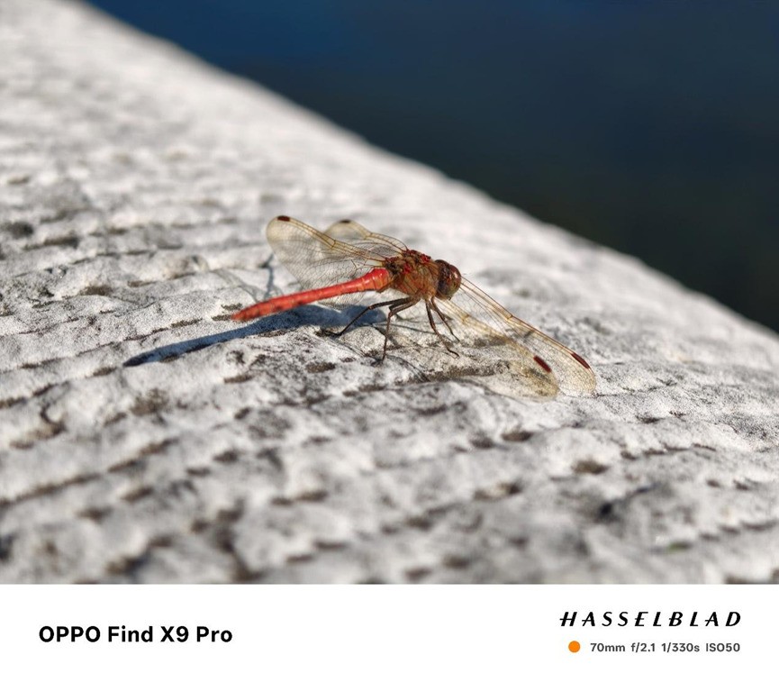 2ÒÚÏñËØ´óµ×¾µÍ·È«ÃæÆÕ¼° ˲ÅÊÇÄ»ºó¹¦³¼£¿