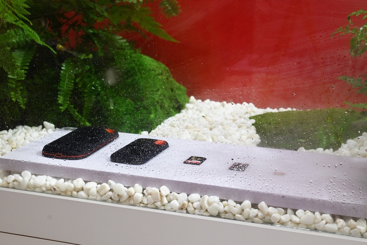 闪迪重磅亮相北京P&E展  打造高效影像创作存储全新生态