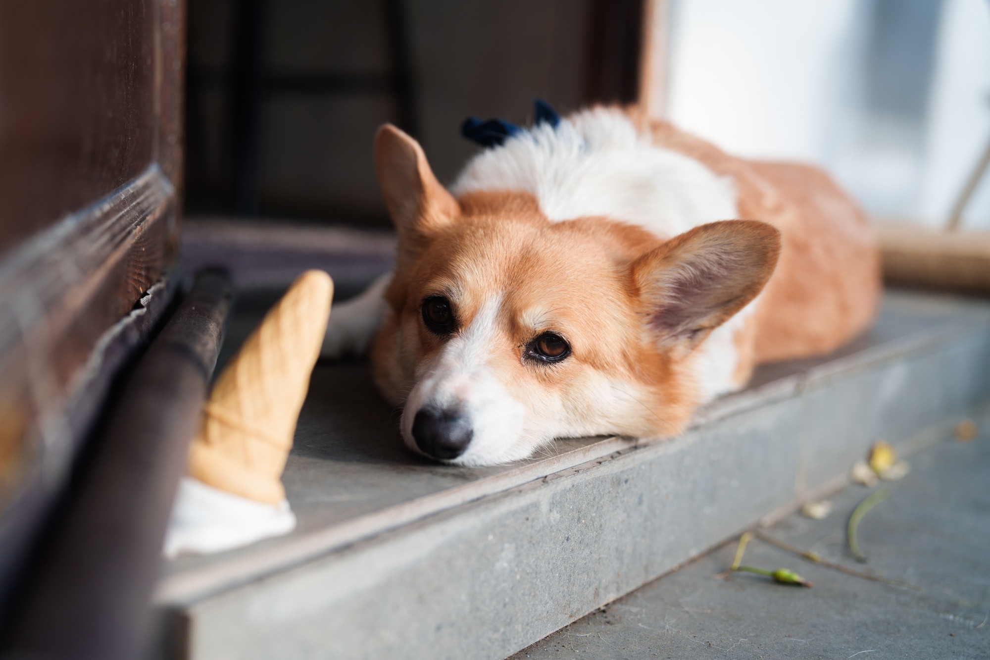 ���ڳ�����Ӱװ��ָ�ϣ�����ȫ�����޷�����Ƽ�