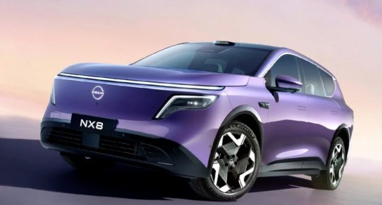 ��ͥ�ó�����Դ����SUV�Ƽ�����������������ԴSUVѡ��ָ��