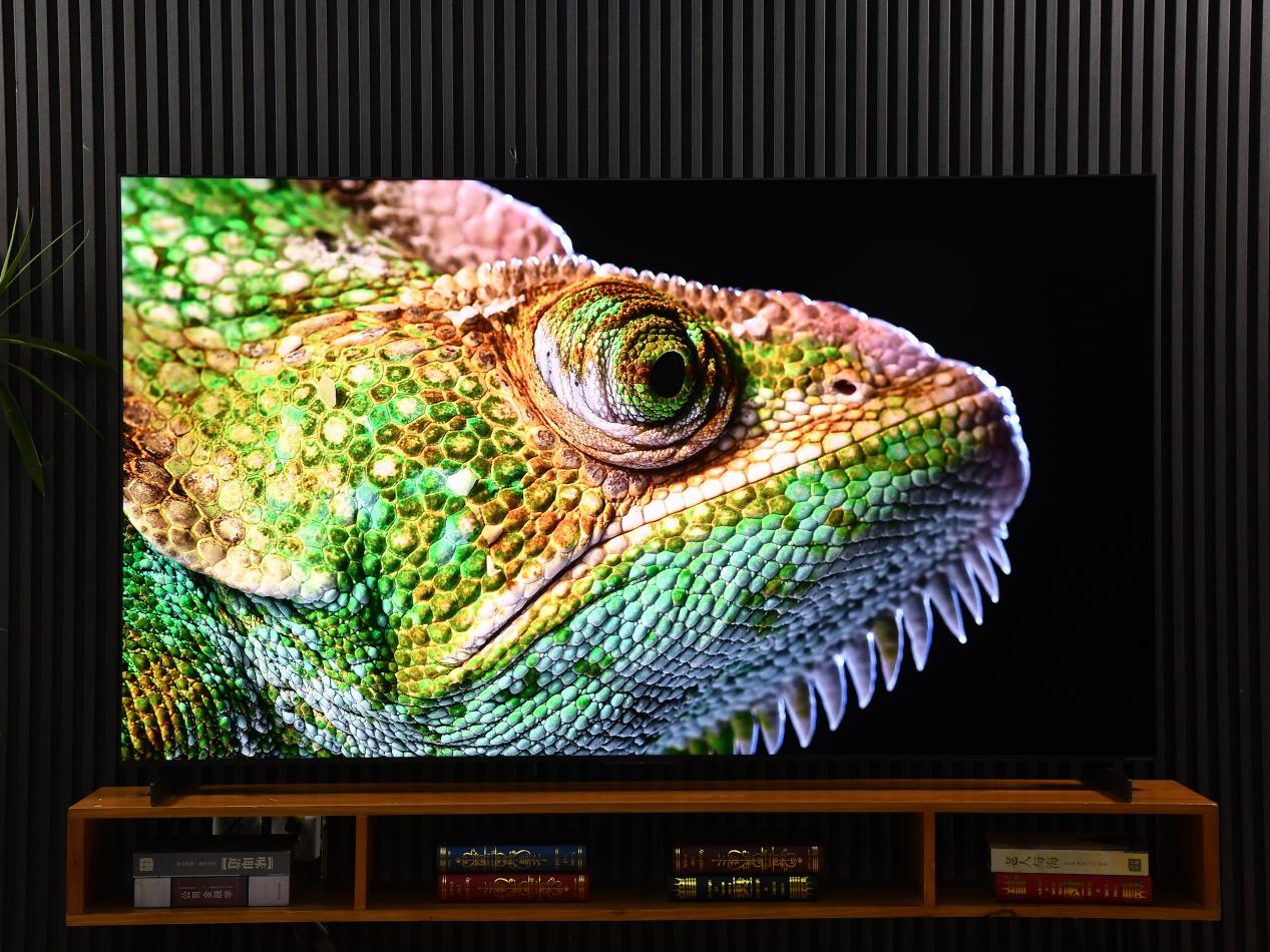 ٽTCL Q10M Ultra⣺RGB-MiniLEDռ̬