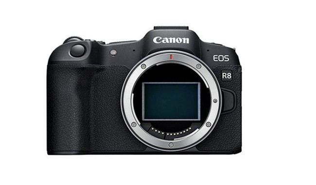 2025ȫа񣺴ŵ׵ռѡָ