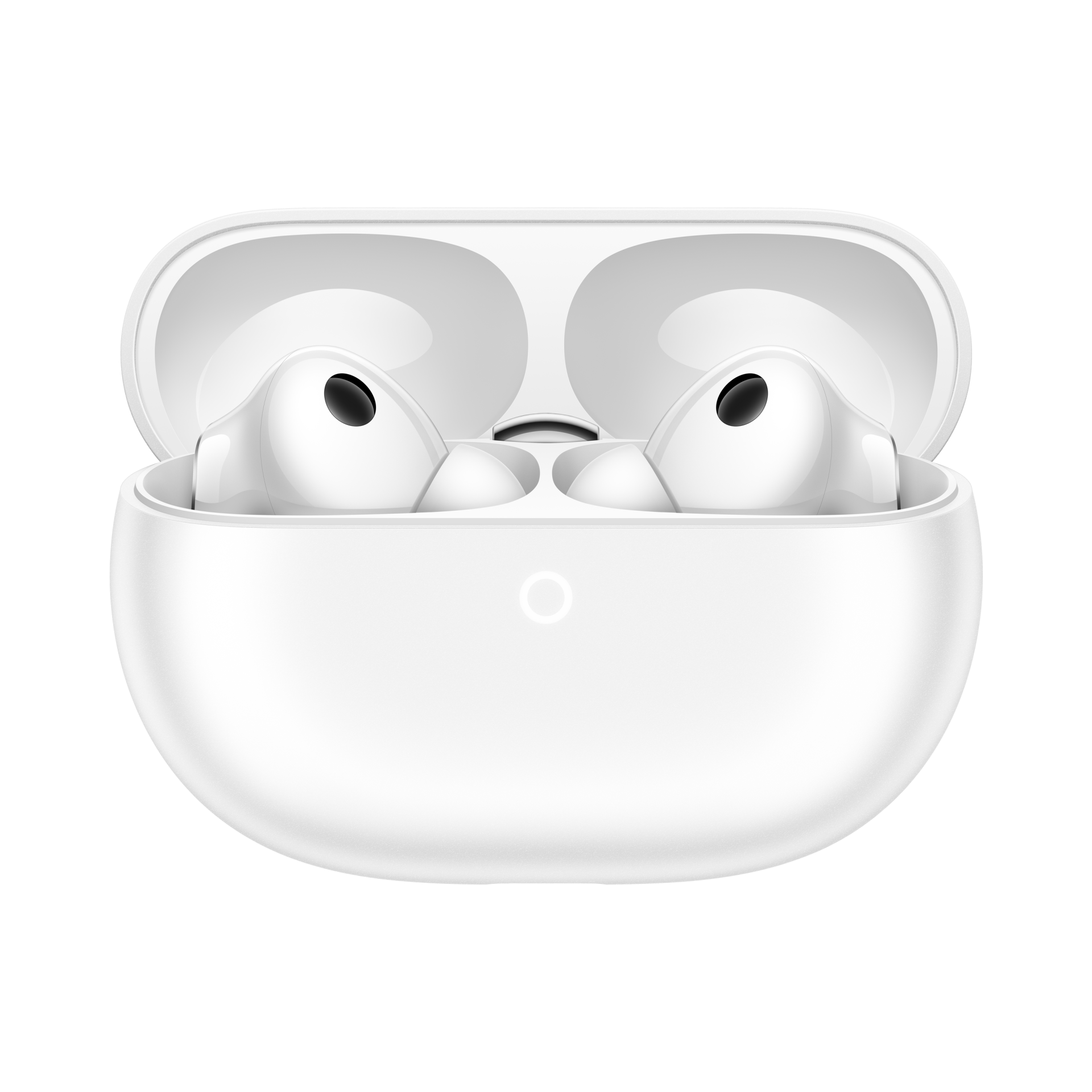 �ɶ���ֹ�ڽŲ����������ʽ��������Ķ���