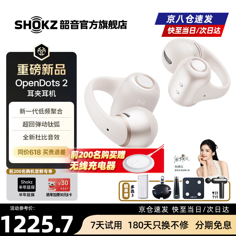 ����OpenDots2 AI�������