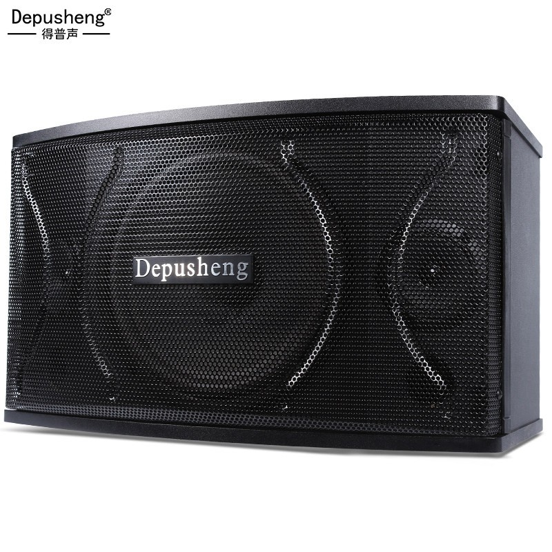 depusheng D100 专业 KTV音箱套装