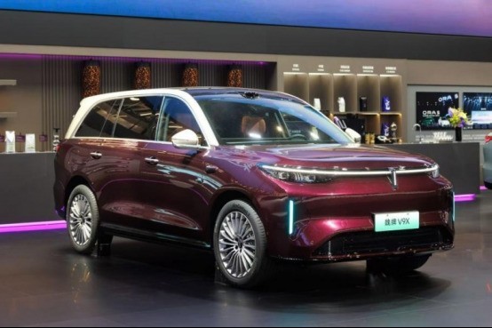 ����ԴSUV��ȫ��ѡ����ݰ�ȫ����ֵ�òο�
