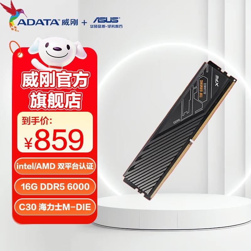  XPG  D300 DDR5 6000 C30 TUF 16GB 