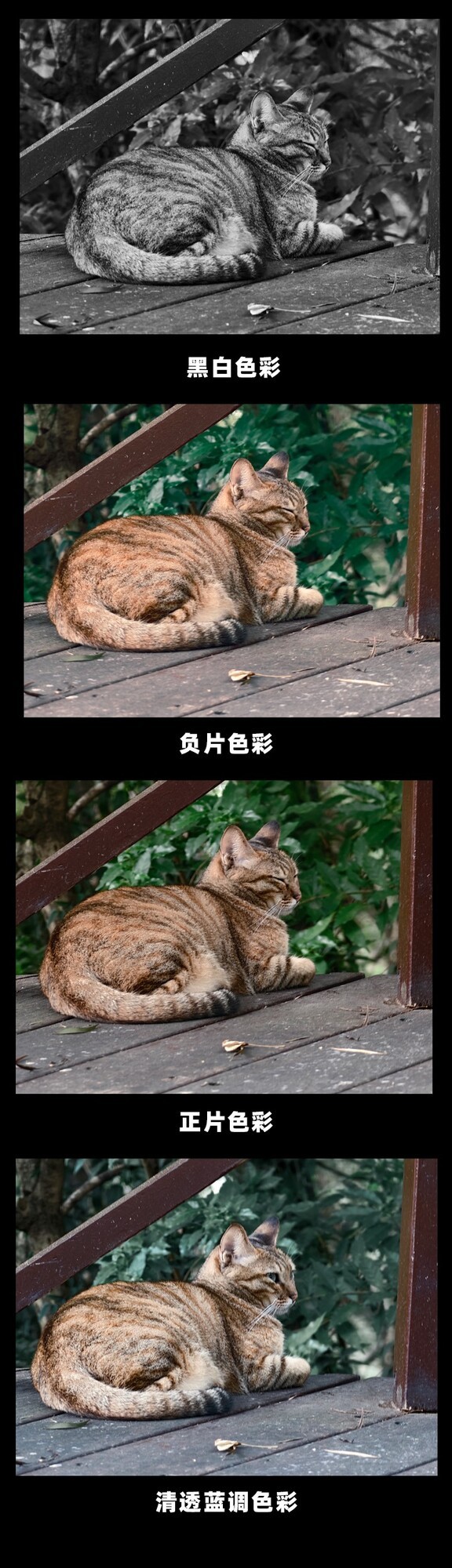 统一场景实拍大对比 vivo X200 Ultra色彩模式全面解析