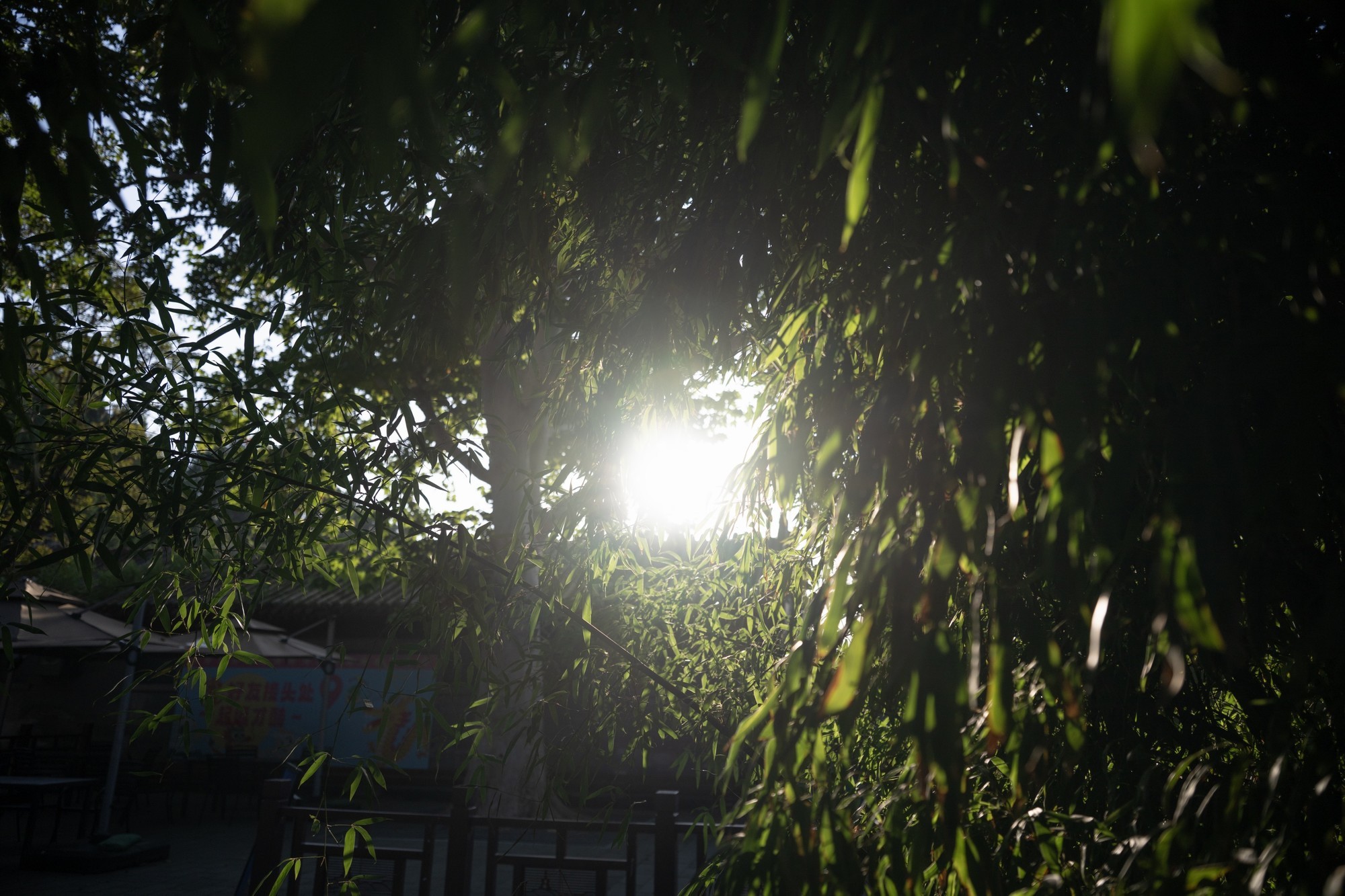 �����Ƶ������ ��˶� Z 24-70mm f/2.8 S II ��ͷ����