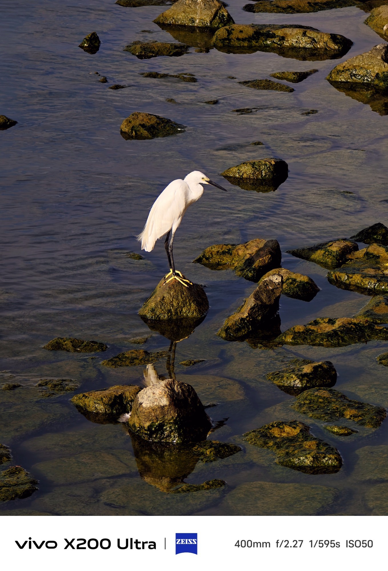 2亿像素大底真的够强吗?vivo X200 Ultra长焦拍摄体验深度解析