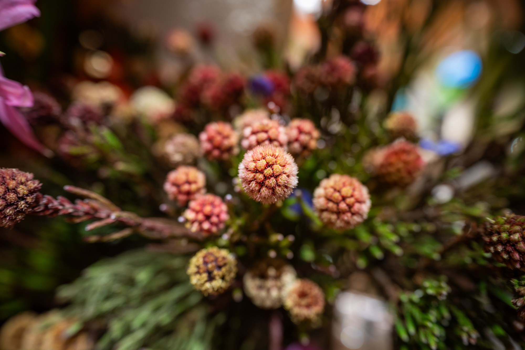 �����Ƶ������ ��˶� Z 24-70mm f/2.8 S II ��ͷ����