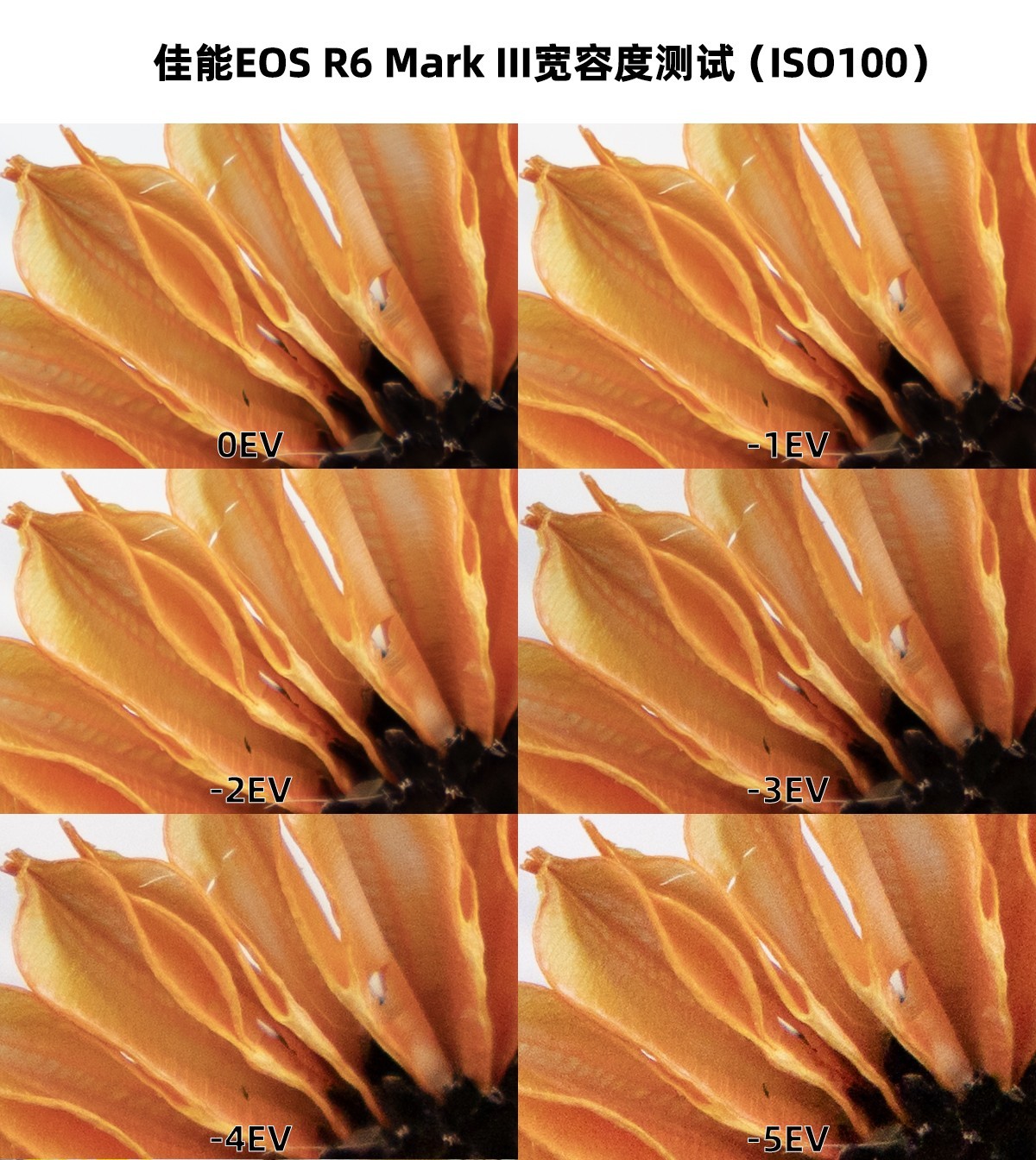 3250+7KƵȫˮͰ EOS R6 Mark III