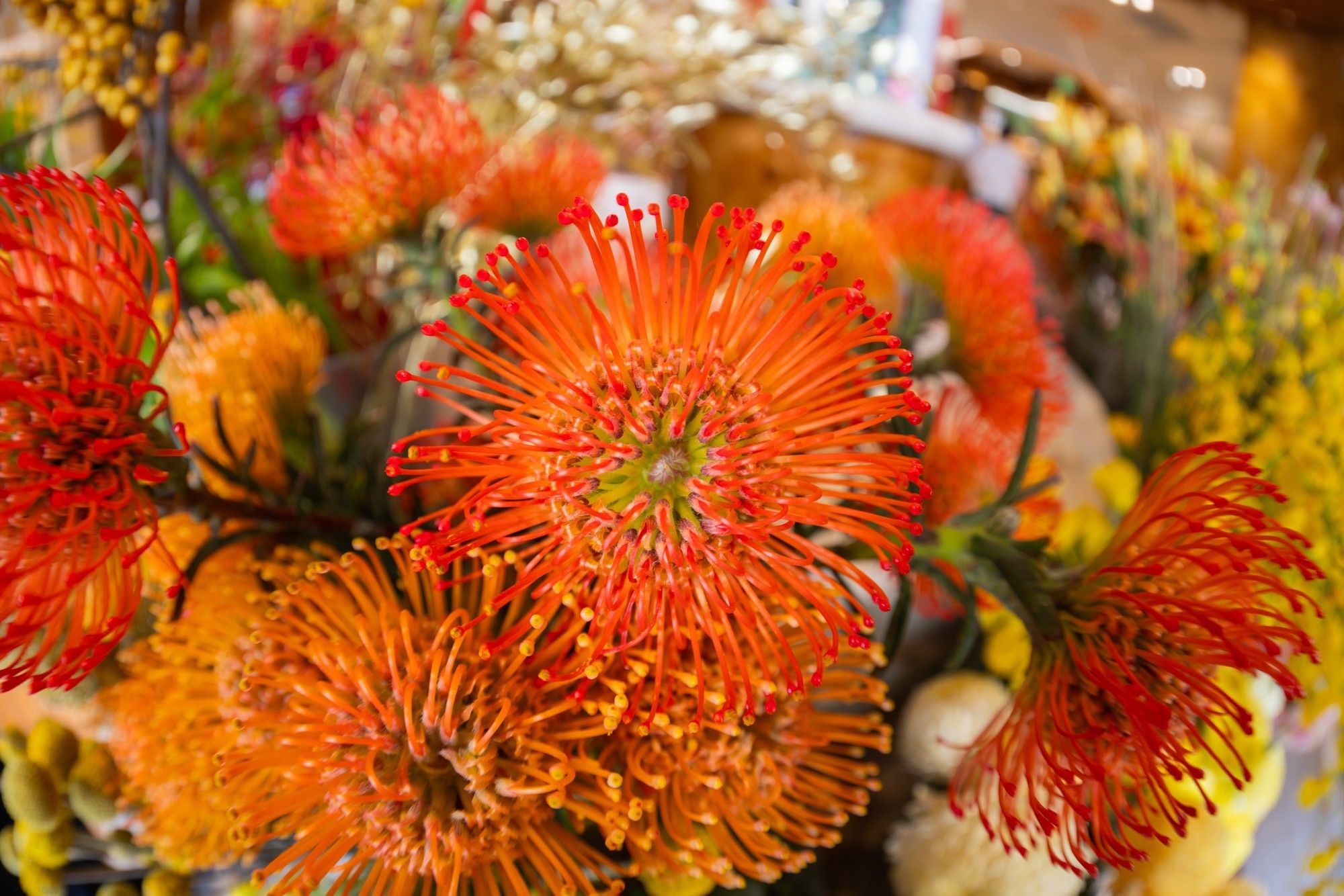 190���ӽ��µ��ӽ� ����RF7-14mm F2.8-3.5 STM���۾�ͷ����