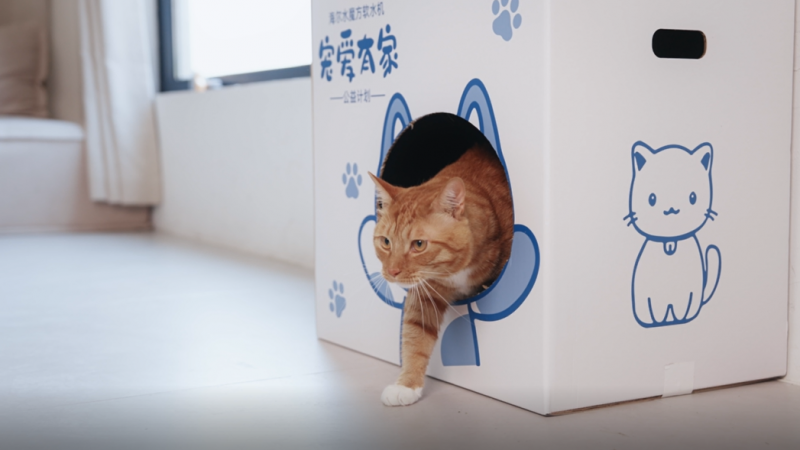 Դͷ谮,ӵˮħˮ