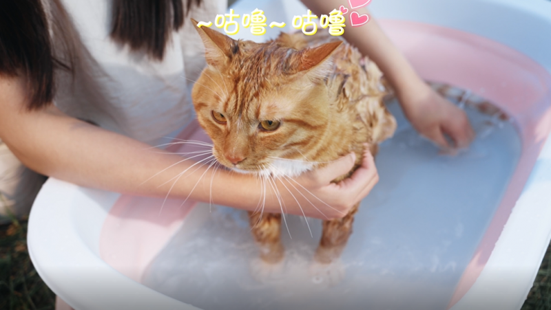 Դͷ谮,ӵˮħˮ