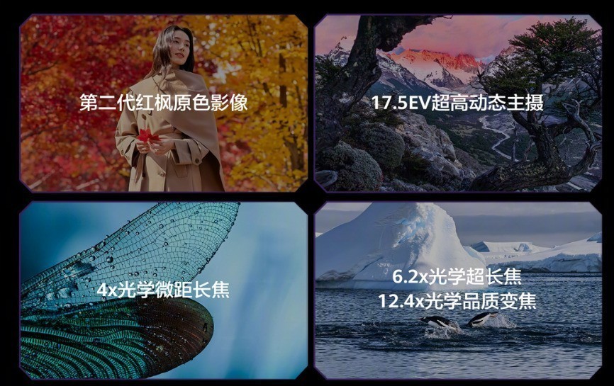 ��ΪMate 80 RS �Ƿ���ʦ���֣���һ�۳��ȣ�Խ��Խ��ζ��