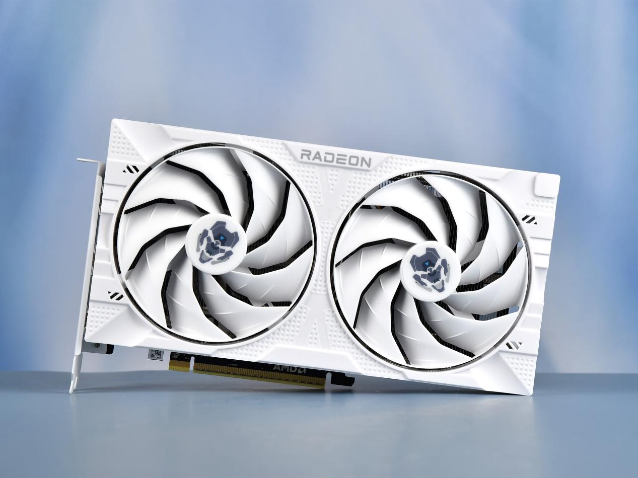 ���VASTARMOR RX 9060 XT 16GB�Ͻ����ֵ����˫���ߵ�����ѡ��