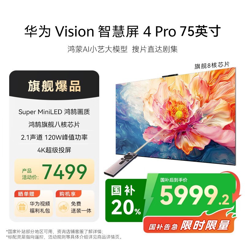 Ϊ Visionǻ 4 Pro 75Ӣ