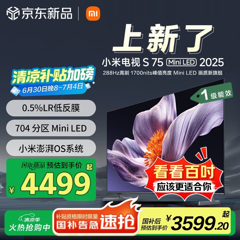 С  S MiniLED 2025 75Ӣ