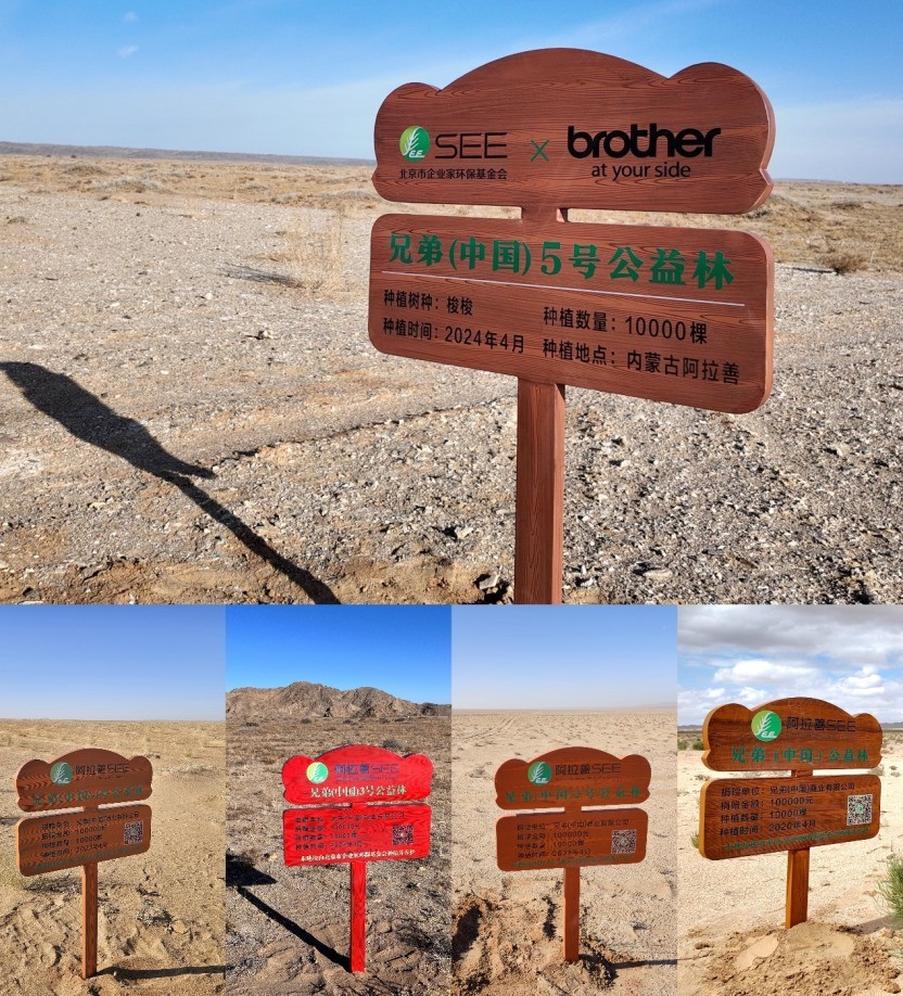 廿载公益路 初心向未来:兄弟(中国)与合作伙伴共建20周年纪念林
