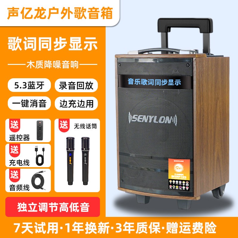 声亿龙2026新款K歌音响大音量专用高端拉杆户外广场舞音箱一体机