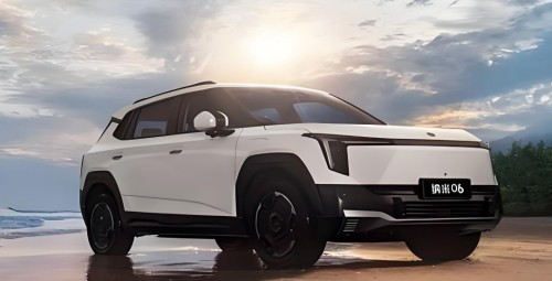 2025 ο10 򼶼ͥ SUV ۺϾ