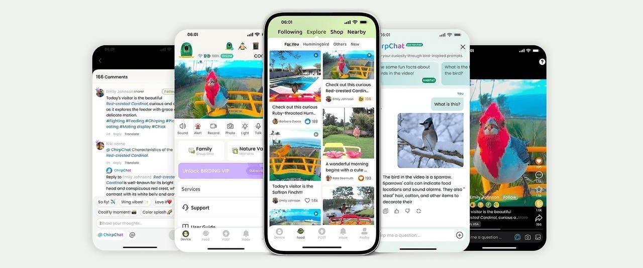 从深圳到北美:中国创企COOLFLY改写全球AI观鸟市场格局