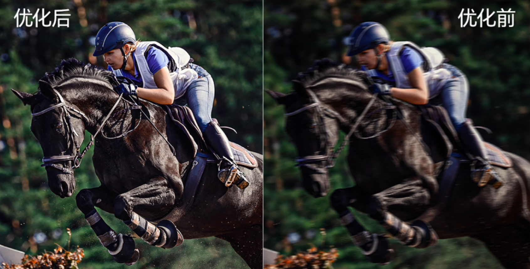 ˫12ֵġĻ1003׿˽ӰԺ