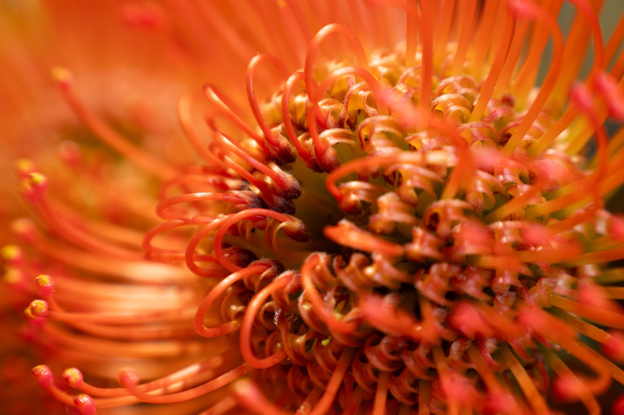 ��˶� Z 24-105mm f/4-7.1 ������ô��