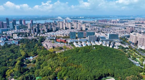 ʮĽй´ҵAIںרҵߺԲĻ